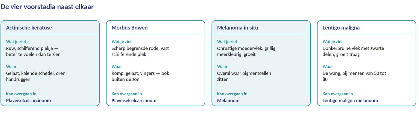 De vier voorstadia