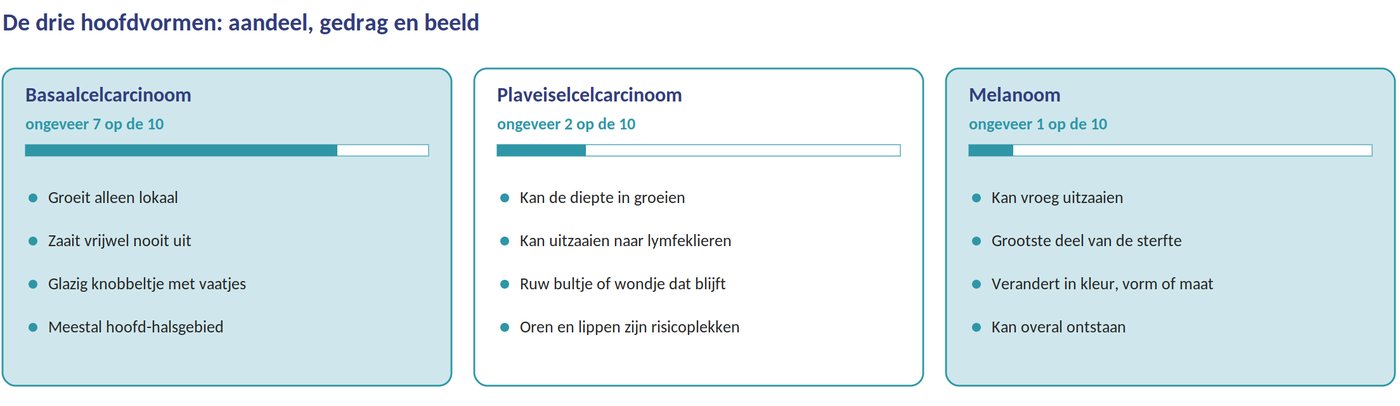De drie hoofdvormen